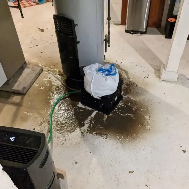 Sewage Backup Cleanup Service in Lookout Mountain, GA